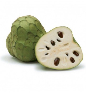 CHERIMOYA