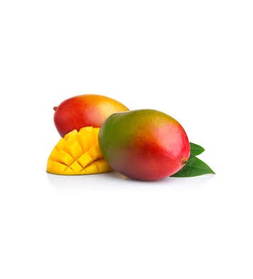 MANGUE PIECE